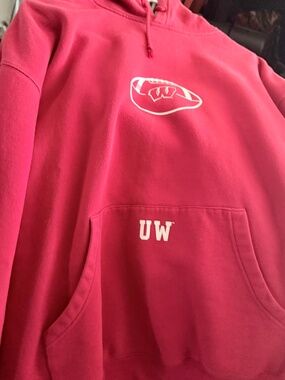 Vintage 90s/Y2K Wisconsin Badgers Red Hoodie - Center Logo Football Graphic